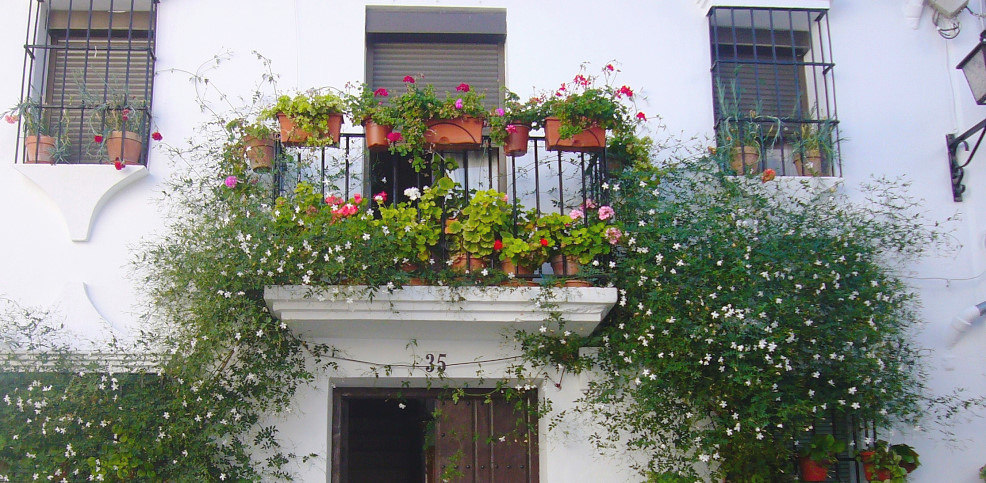 Ronda et les Villages Blancs