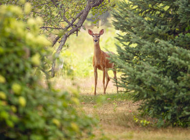 La Sierra de Ronda en famille